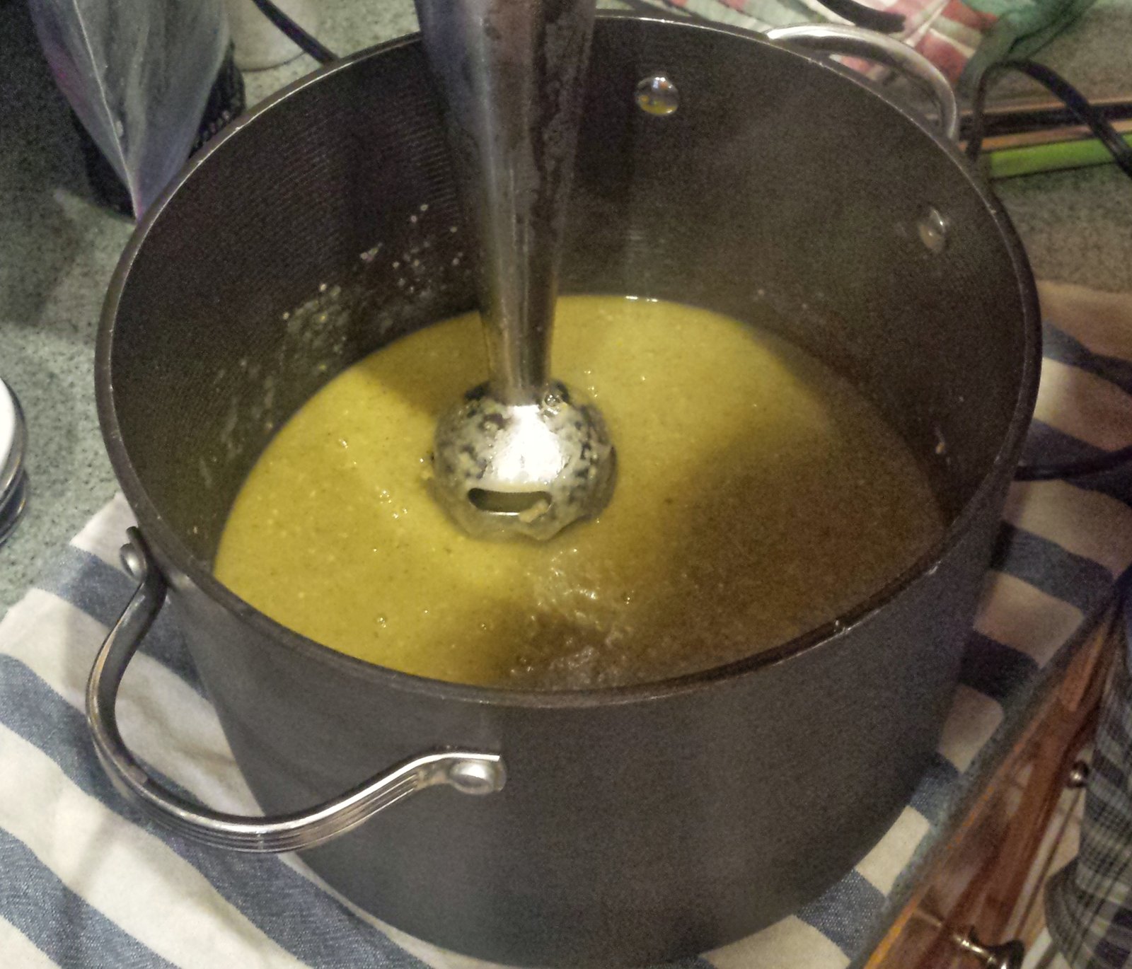The immersion blender while making the tomatillo sauce.